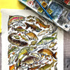 Alexia Claire | Freshwater Fish of Britain | Postcard | Conscious Craft